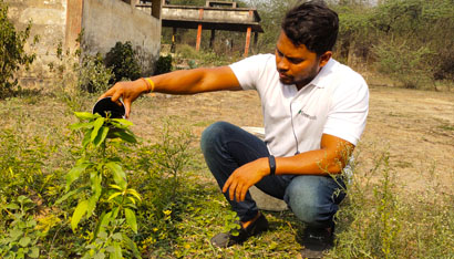 Treewards Initiative